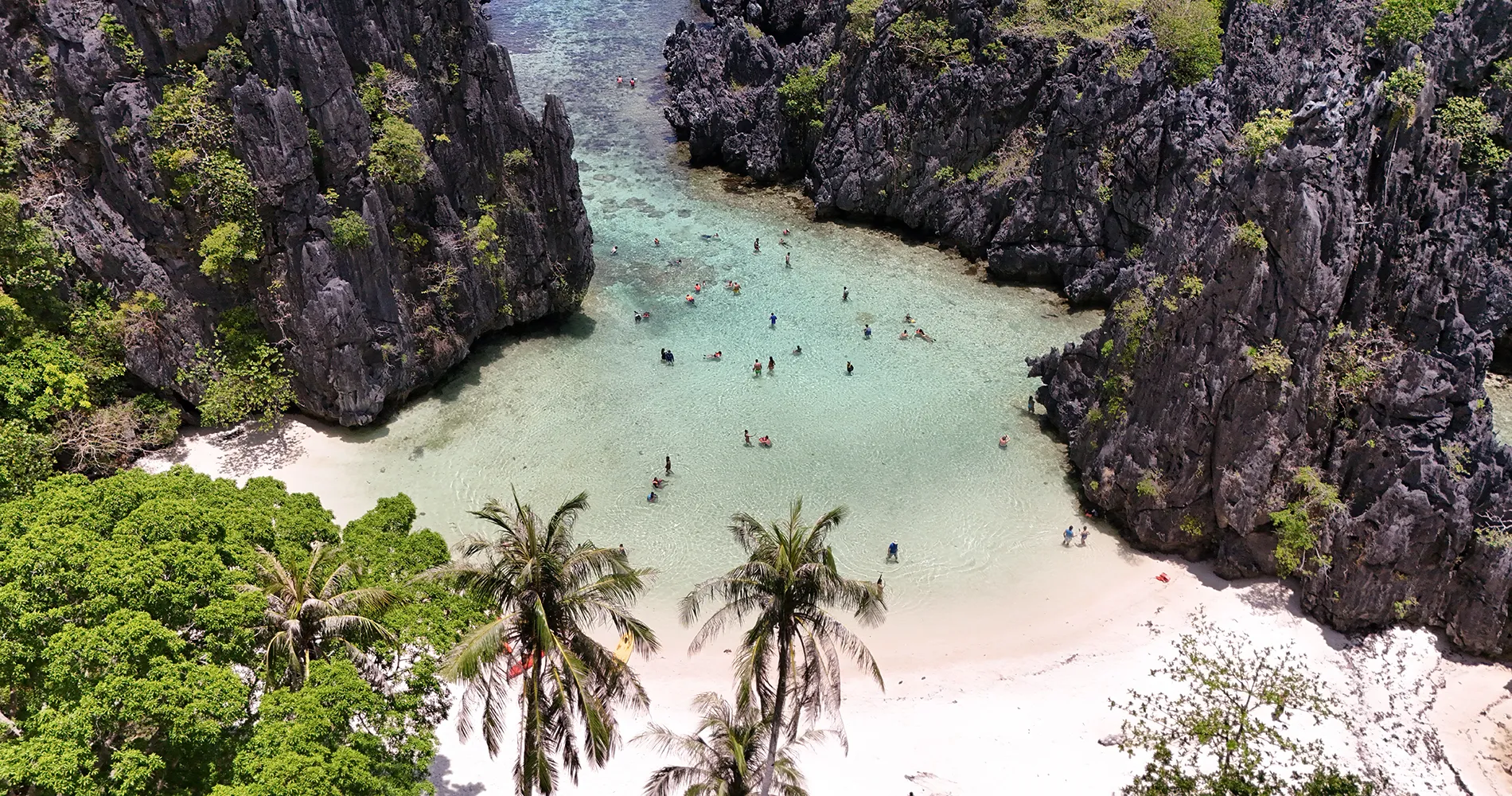 dreamlove travel and tours