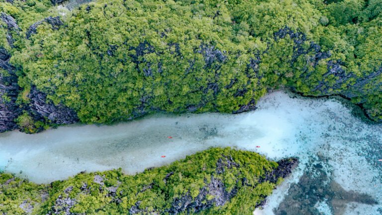 DJI_20250521081847_0080_D