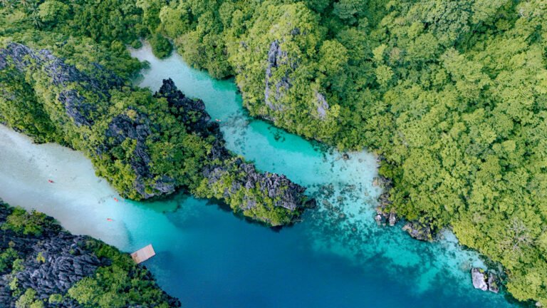 DJI_20250521082041_0086_D