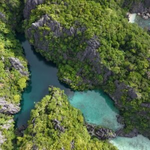 Private Tour D